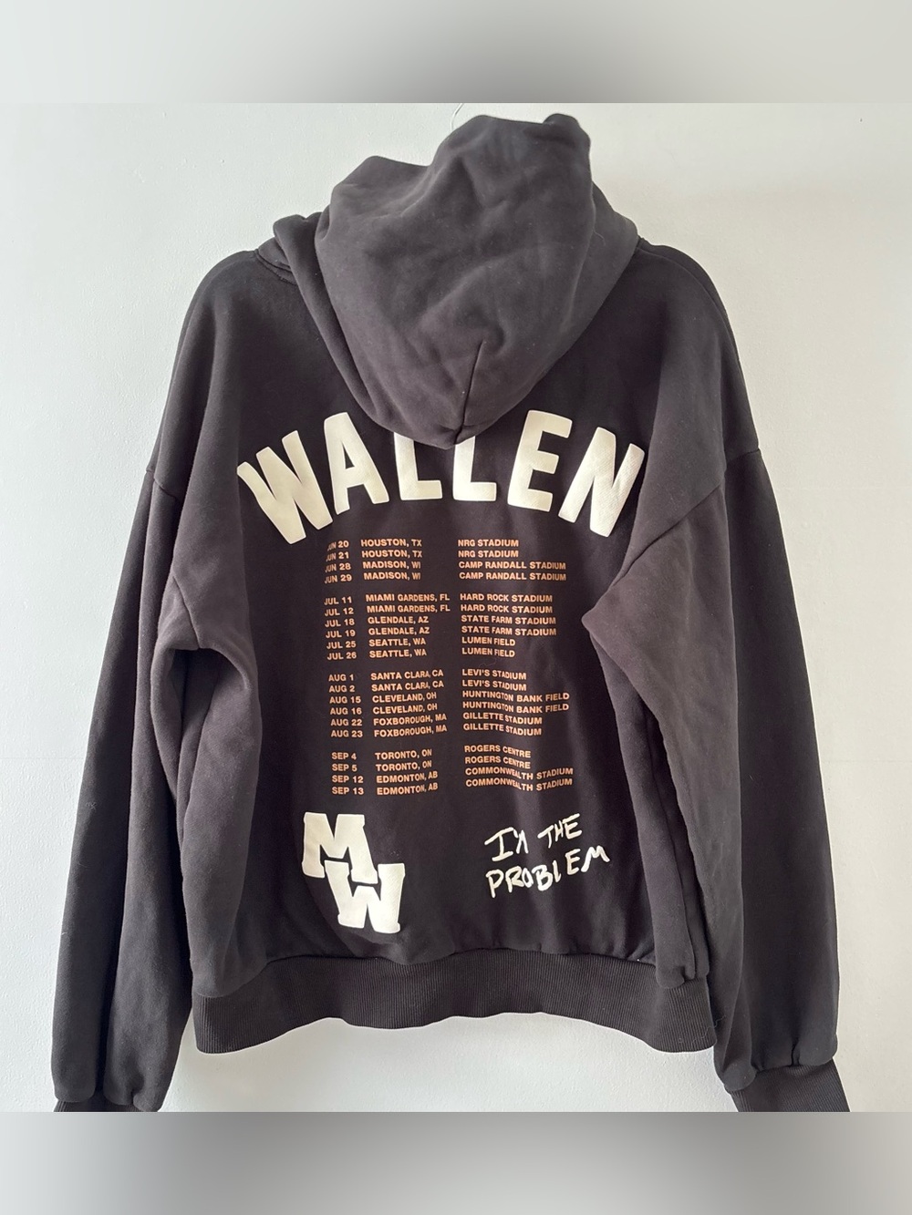 Morgan Wallen I’m The Problem Tour Hoodie Official Merch Sweatshirt Graphic - Picture 4 of 5